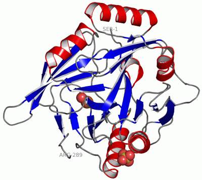Image Asym.Unit - manually