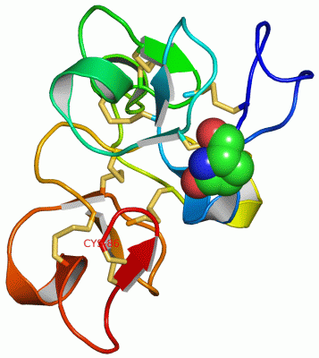 Image Asym./Biol. Unit - manually