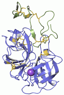 Image Asym./Biol. Unit - manually