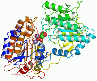 Image Asym./Biol. Unit - manually