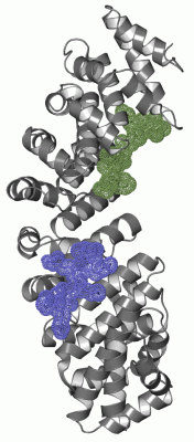 Image Asym./Biol. Unit - manually