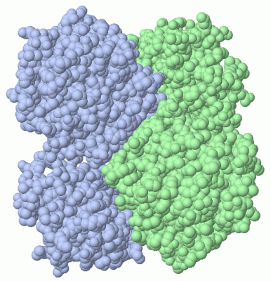 Image Asym./Biol. Unit - manually