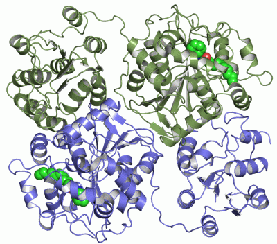 Image Asym./Biol. Unit - manually