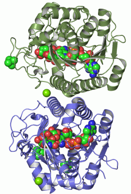 Image Asym./Biol. Unit - manually