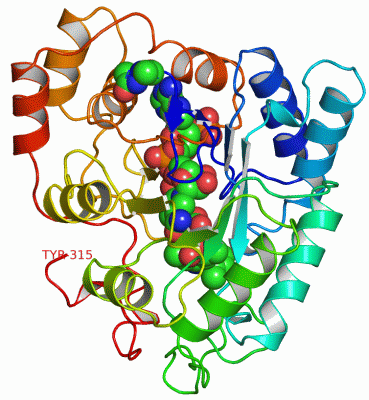 Image Asym./Biol. Unit - manually