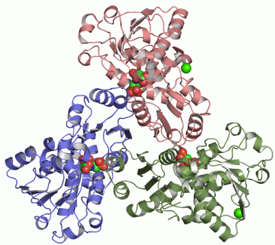 Image Asym./Biol. Unit - manually