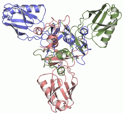 Image Asym./Biol. Unit - manually