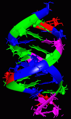 Image NMR Structure - manually