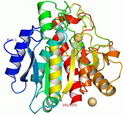 Image Asym./Biol. Unit - manually