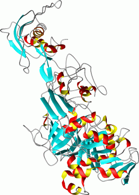 Image Asym./Biol. Unit - manually