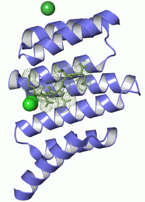 Image Asym./Biol. Unit - manually