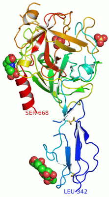 Image Asym./Biol. Unit - manually