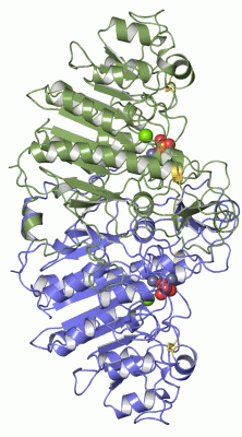Image Asym./Biol. Unit - manually