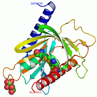 Image Asym./Biol. Unit - manually