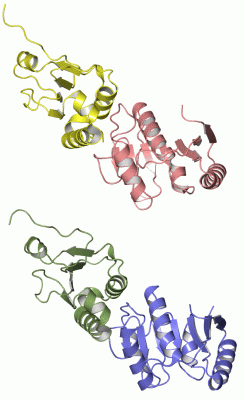 Image Asym.Unit - manually