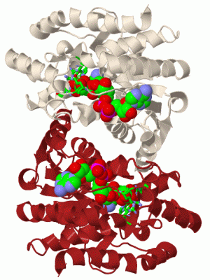 Image Biol.Unit 1 - manually