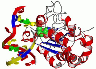 Image Asym./Biol. Unit - manually