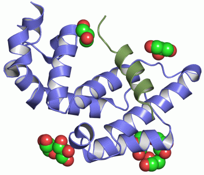 Image Asym./Biol. Unit - manually