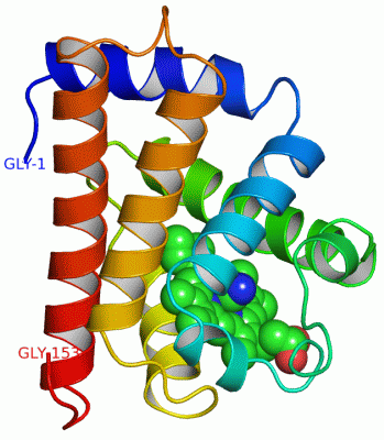 Image Asym./Biol. Unit - manually
