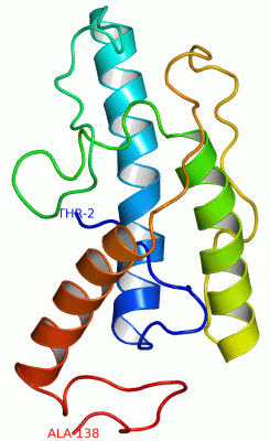 Image Asym./Biol. Unit - manually