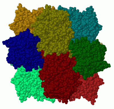 Image Biol.Unit 1 - manually