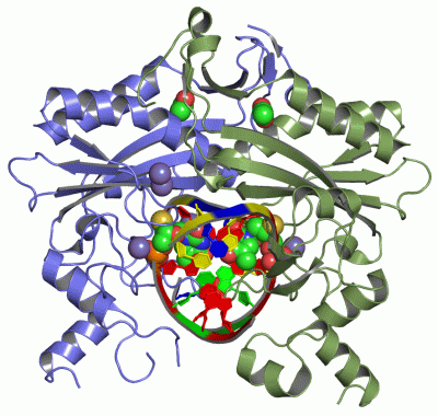 Image Asym./Biol. Unit - manually