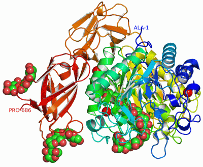 Image Asym./Biol. Unit - manually