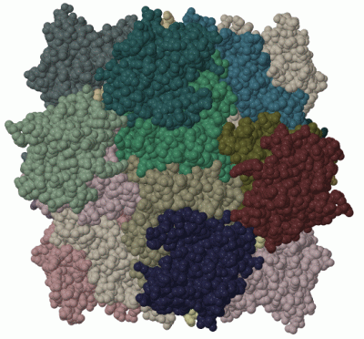 Image Biol.Unit 1 - manually