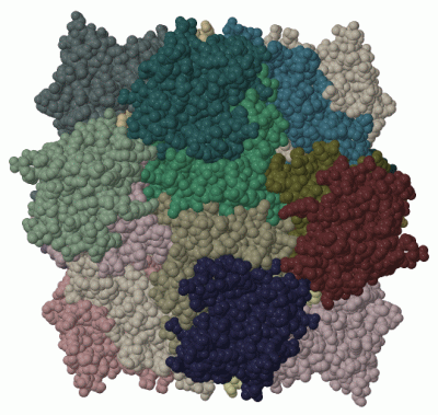 Image Biol.Unit 1 - manually