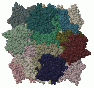 Image Biol.Unit 1 - manually