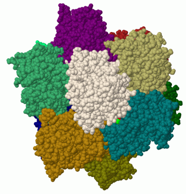 Image Biol.Unit 1 - manually