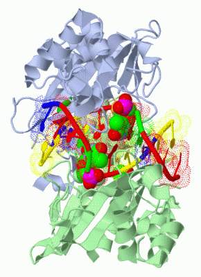 Image Asym./Biol. Unit - manually