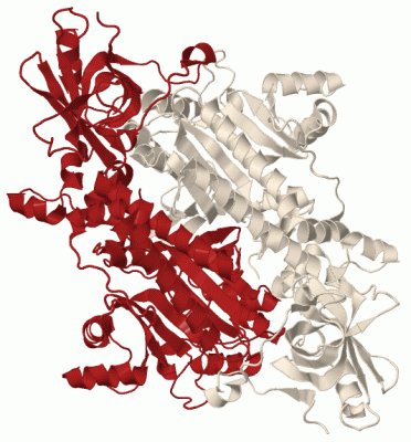 Image Biol.Unit 1 - manually