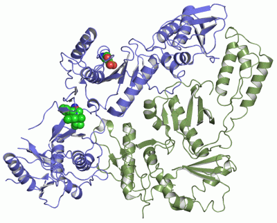 Image Asym./Biol. Unit - manually