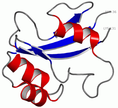 Image NMR Structure - manually