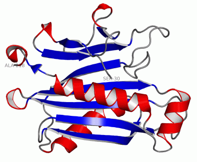 Image Asym./Biol. Unit - manually