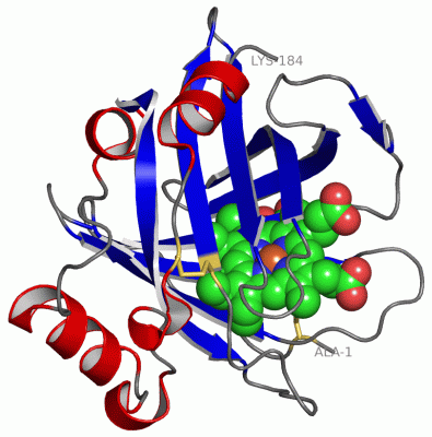 Image Asym./Biol. Unit - manually