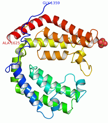 Image Asym./Biol. Unit - manually