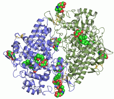 Image Asym./Biol. Unit - manually