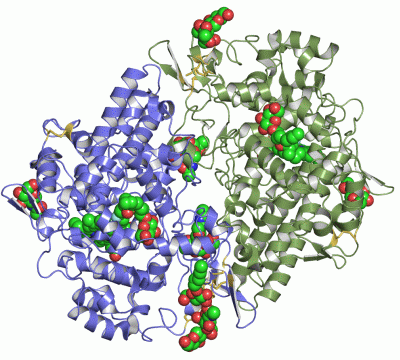 Image Asym./Biol. Unit - manually