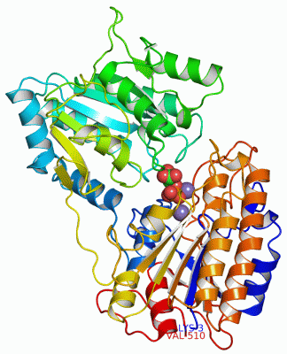 Image Asym./Biol. Unit - manually