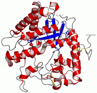 Image Asym./Biol. Unit - manually