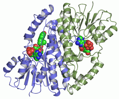 Image Asym./Biol. Unit - manually