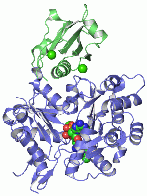 Image Asym./Biol. Unit - manually