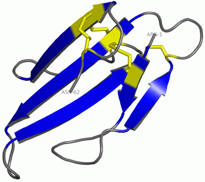 Image NMR Structure - manually