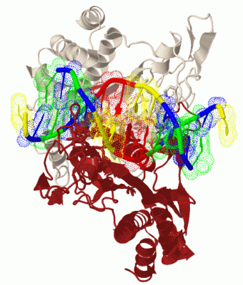 Image Biol.Unit 1 - manually