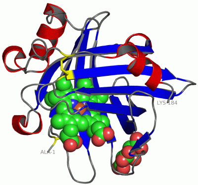 Image Asym./Biol. Unit - manually