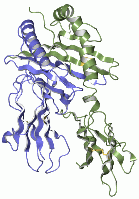 Image Asym./Biol. Unit - manually