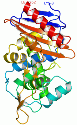 Image Asym./Biol. Unit - manually