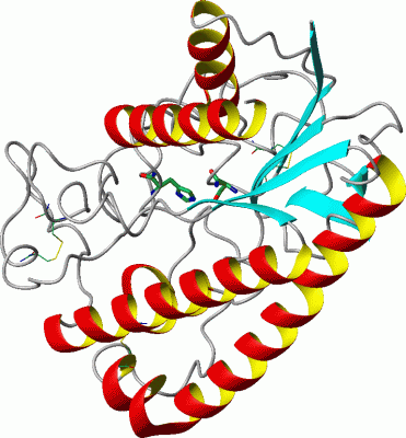 Image Asym.Unit - manually